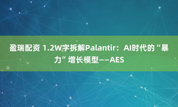 盈瑞配资 1.2W字拆解Palantir：AI时代的“暴力”增长模型——AES