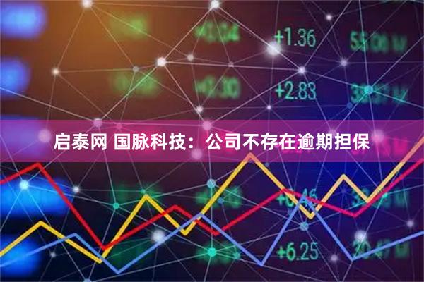 启泰网 国脉科技：公司不存在逾期担保
