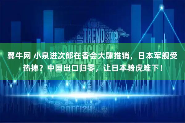 翼牛网 小泉进次郎在香会大肆推销，日本军舰受热捧？中国出口归零，让日本骑虎难下！